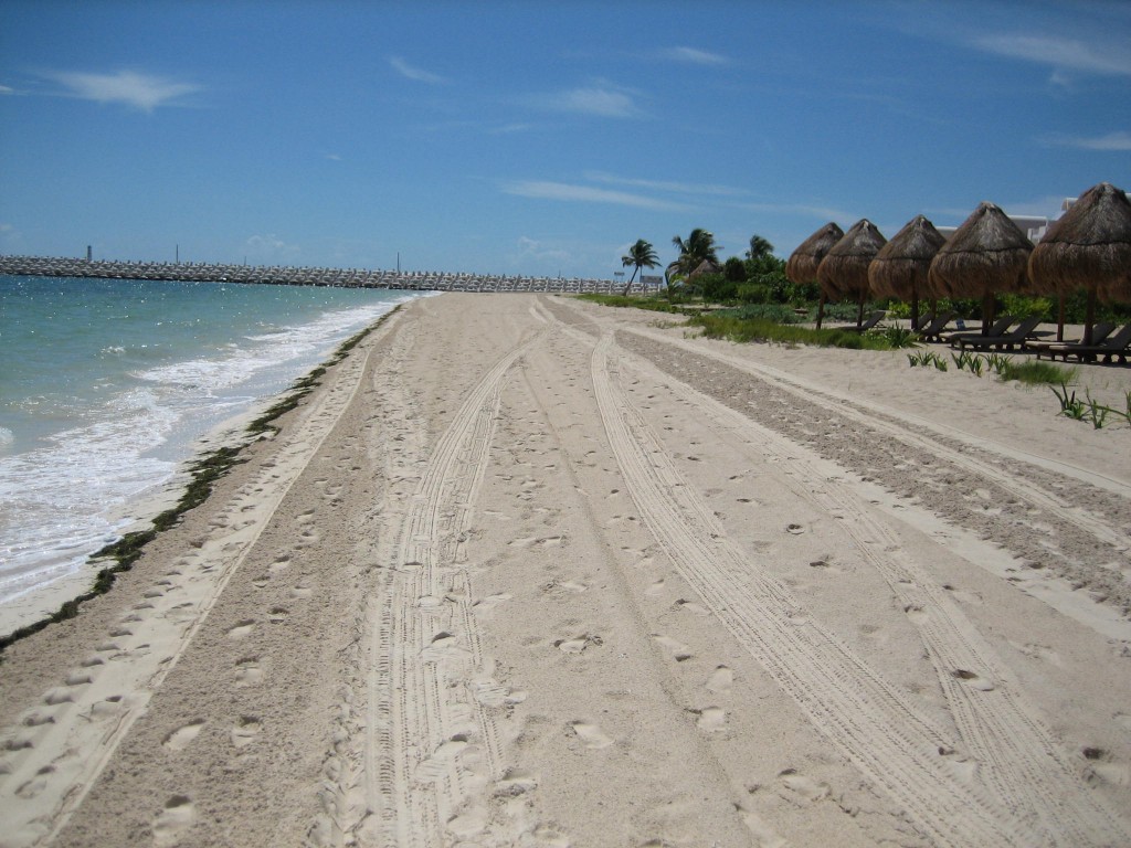 Beachfront La Amada